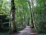 Abraham Ledeboerpark